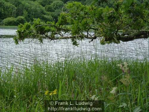 Lough Gill, County Sligo